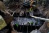 #Dato: Trabajos de rehabilitaci&oacute;n en el puente binacional Francisco de Paula Santander llevan un 28% de ejecuci&oacute;n