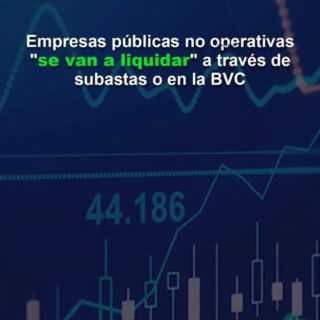 Empresas públicas no operativas «se van a liquidar» a través de subastas o en la BVC