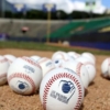 La LVBP complet&oacute; los ocho m&aacute;nagers para la temporada 2026-2027