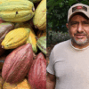 Nestl&eacute;&reg; y Savoy&reg; impactan a m&aacute;s de 3.000 productores de cacao impulsando el desarrollo del sector