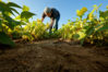 SVIAA: Contrabando y falta de cr&eacute;dito atentan contra la agricultura familiar