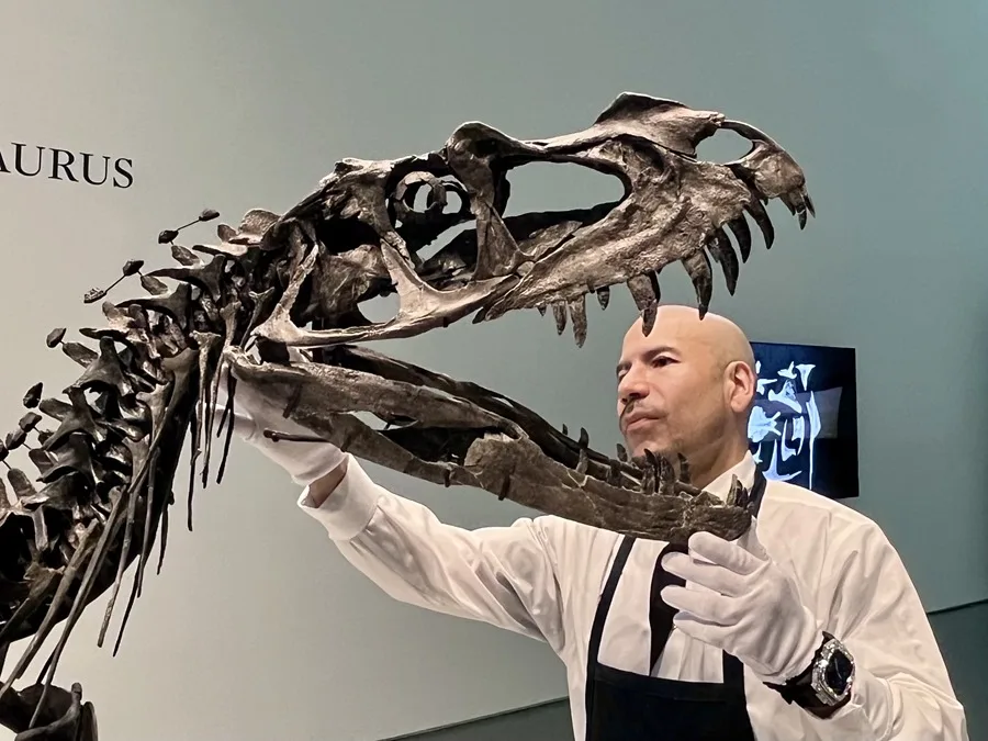 De lienzos a fósiles: Por qué los millonarios ahora prefieren comprar huesos de dinosaurio
