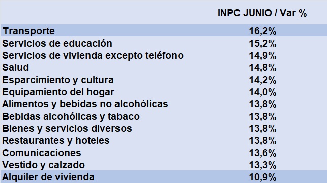 «Rebote» inflacionario en junio con un alza mensual de 13,8% y un aumento semestral de 129,82%