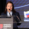 Ministra de Hidrocarburos garantiz&oacute; en EEUU seguridad jur&iacute;dica al capital internacional