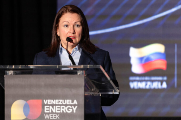 Ministra de Hidrocarburos garantiz&oacute; en EEUU seguridad jur&iacute;dica al capital internacional