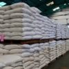 Zafra 2025-2026: Producci&oacute;n de ca&ntilde;a de az&uacute;car subi&oacute; 4,5% anual y alcanz&oacute; a 7,7 millones de toneladas