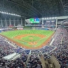 Tiburones y Magallanes se enfrentar&aacute;n en Miami en un juego de exhibici&oacute;n de la pelota invernal