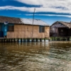 #Cr&oacute;nica: Mene Grande, un pueblo pobre que nada en petr&oacute;leo cifra en Nabep su &uacute;ltima esperanza