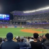 Abonos para la temporada de Leones del Caracas superan 1.400 d&oacute;lares