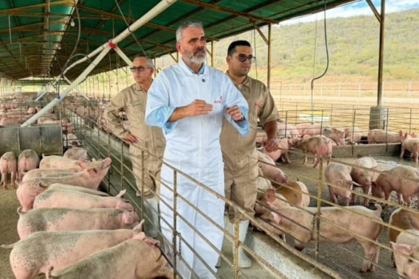 Padrino: El pa&iacute;s est&aacute; autoabastecido de carne de cerdo y el sector porcino podr&iacute;a crecer 15,3% este a&ntilde;o