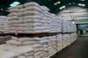 Zafra 2025-2026: Producci&oacute;n de ca&ntilde;a de az&uacute;car subi&oacute; 4,5% anual y alcanz&oacute; a 7,7 millones de toneladas