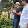 Arranca cosecha de caf&eacute; 2026-2027 con proyecci&oacute;n de crecimiento de 15%