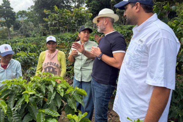 Arranca cosecha de caf&eacute; 2026-2027 con proyecci&oacute;n de crecimiento de 15%
