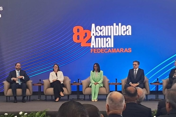 Reforma legal para incorporar capital privado al servicio el&eacute;ctrico ser&aacute; aprobada este a&ntilde;o